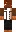 skin of a player