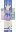 skin of a player