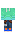 skin of a player