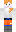 skin of a player