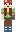 skin of a player