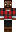 skin of a player