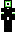 skin of a player