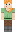 skin of a player