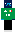 skin of a player