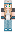 skin of a player