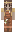 skin of a player
