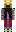skin of a player