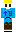skin of a player