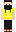 skin of a player