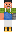 skin of a player