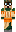 skin of a player