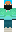 skin of a player