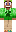 skin of a player