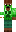 skin of a player