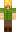 skin of a player