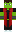 skin of a player