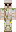 skin of a player