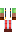 skin of a player
