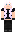 skin of a player