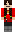 skin of a player