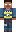 skin of a player