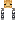 skin of a player