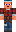 skin of a player