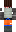 skin of a player