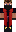 skin of a player