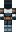 skin of a player
