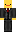 skin of a player