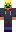 skin of a player