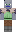skin of a player