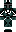 skin of a player