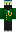 skin of a player