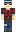 skin of a player