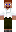 skin of a player