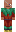 skin of a player