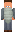 skin of a player