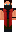 skin of a player