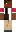 skin of a player