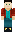 skin of a player