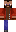 skin of a player