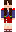 skin of a player