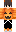 skin of a player
