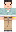skin of a player