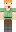 skin of a player