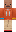skin of a player