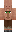 skin of a player